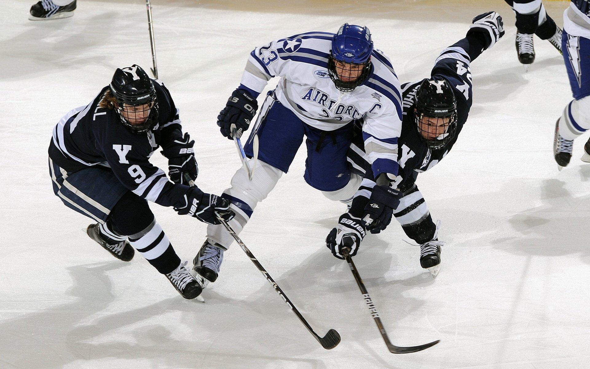 【人物】分手15年 为何还有猛龙球迷在恨着卡特?